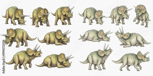 Collection of various Triceratops dinosaurs in different poses and colors, isolated on a transparent background.