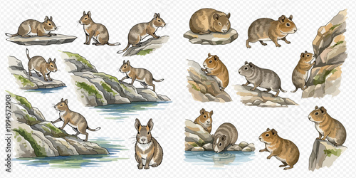 Set of watercolor illustrations of cute degus and cavies in various poses and natural settings.