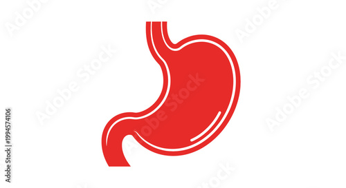Anatomical illustration of a stomach organ presented in striking red color