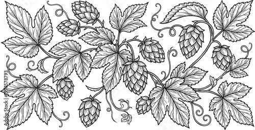 Bird of prey silhouette illustration collection featuring eagles and hawks in flight, wide wings spread, soaring motion concept, wildlife vector design set