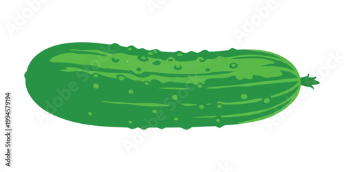 A cucumber that's green, placed on a white background. This is an isolated vector illustration.