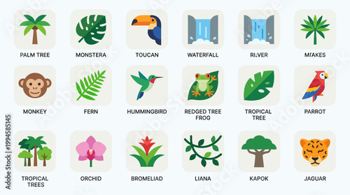 Tropical rainforest plants and animals icons.