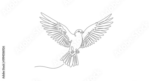 Bird Flying with Outstretched Wings Free.