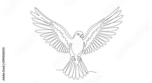 Bird Flying with Spread Wings.