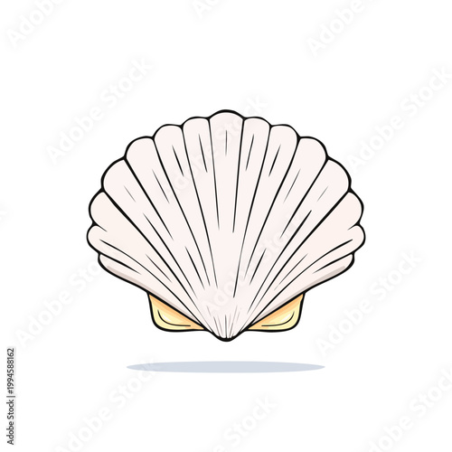 Simple illustration of a white scallop seashell with ribbed texture and yellow interior