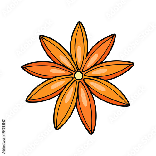 Bright orange star anise spice with eight pointed petals and a yellow center