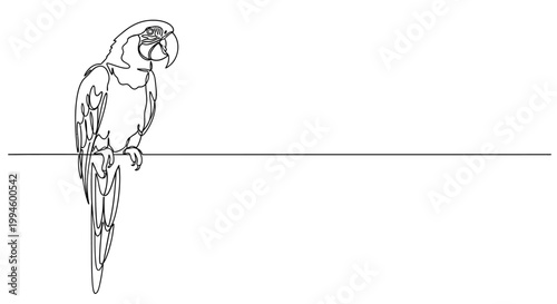 Elegant continuous line art drawing of a parrot perched gracefully on a thin horizontal line, showcasing a minimalist and modern illustrative style suitable for diverse design projects
