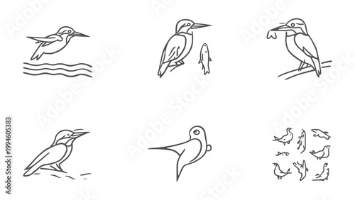 Bild auf Leinwand Kingfisher Sketch: Line art illustrations showcase the elegance and dynamism of kingfishers in various poses, from flight to perching, and interacting with their aquatic environment