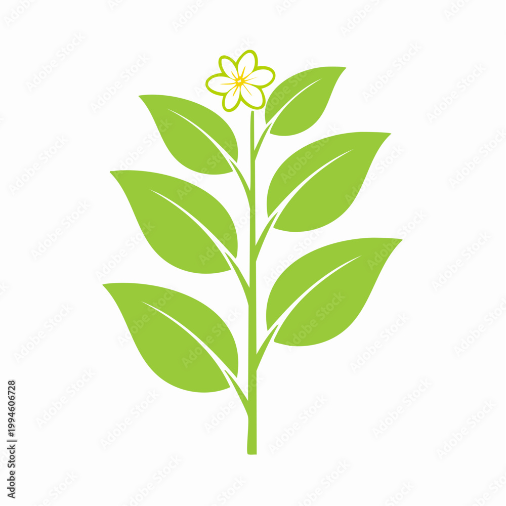 Obraz premium Stylized Green Plant with White Flower
