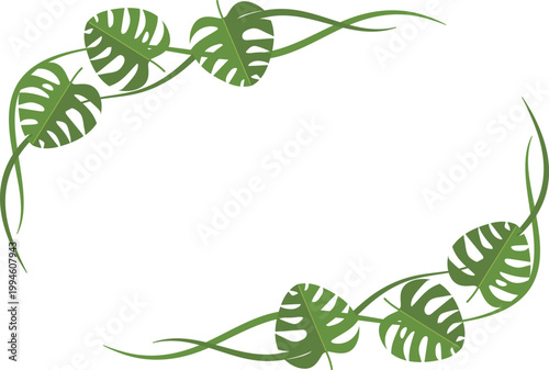 モンステラのフレーム　横位置