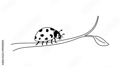Ladybug crawling on a thin branch with a leaf line art illustration crawling wildlife minimalist