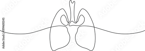 Black continuous line drawing of human lungs on white background anatomy organ