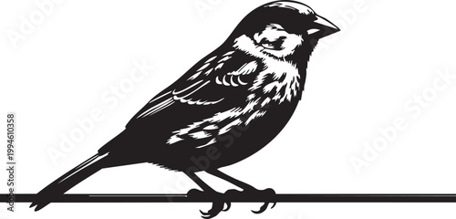 Black and white of a small bird in flight silhouette wings