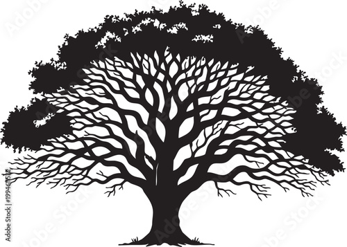 Black and white silhouette of a twisted solitary old tree with sprawling branches gnarled tree