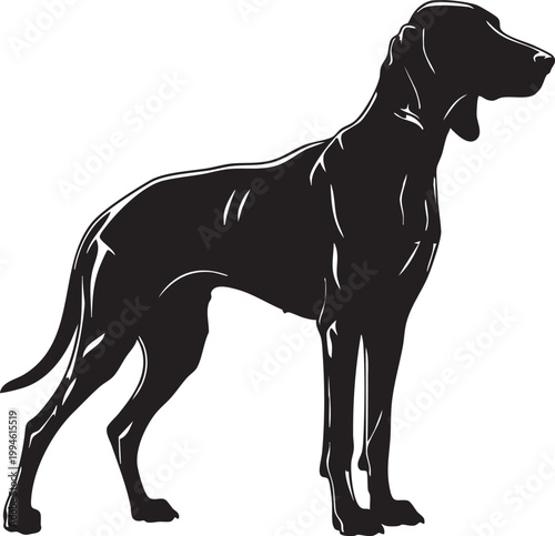 Black dog silhouette running with dynamic motion and flowing mane dynamic pose