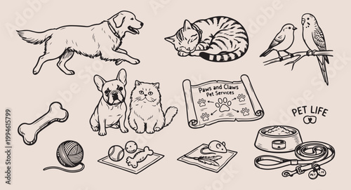 Pet care and domestic animals, cute dogs and cats illustration, animal shelter and adoption doodle, pet food and grooming vector, veterinary clinic and health set, hand drawn domestic pet collection, 