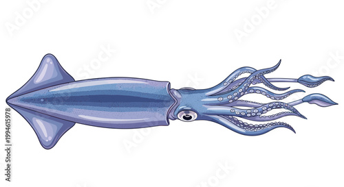 Illustration of a blue squid with tentacles and fins, isolated on a white background
