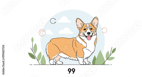 Adorable Pembroke Welsh Corgi dog standing with a happy expression.