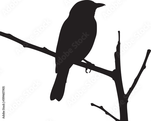 Black silhouette of a bird perched on a branch against a white background minimalist
