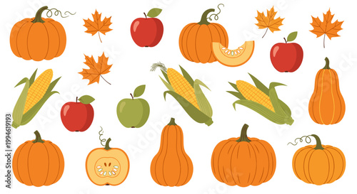 Autumn Harvest Fruit and Vegetables.