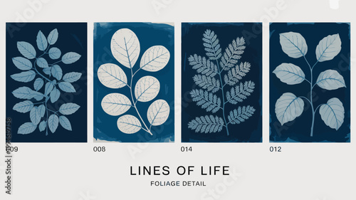 Four cyanotype prints showcase detailed foliage with each print featuring different leaf shapes and arrangements against a deep blue background high quality professional modern elegant stylish