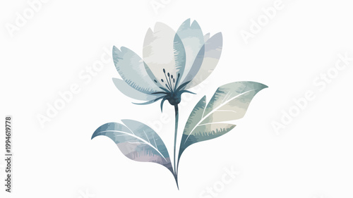 A delicate watercolor painting depicts a blossoming flower with airy petals and accompanying leaves set against a stark white background high quality professional detailed modern elegant
