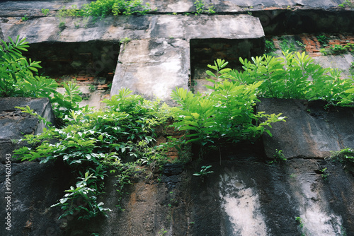 Green Plants Growing on an Old Weathered Stone Wall in Urban Ruins