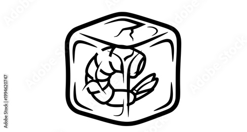 Intricate black and white illustration of a shrimp within a geometric frame artistic design
