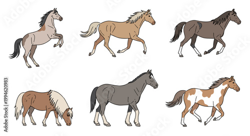 Horses in various colors running.