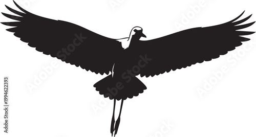 Detailed black silhouette of a housefly with spread wings and legs insect monochrome