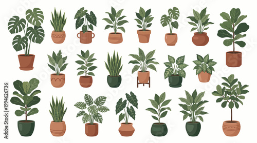 A vibrant and diverse collection of potted houseplants, featuring an array of green foliage perfect for enhancing indoor spaces, urban garden designs, and home decoration