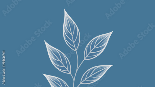 A delicate translucent rendering of a branch with several leaves is displayed against a solid muted blue background high quality professional detailed modern elegant stylish clean