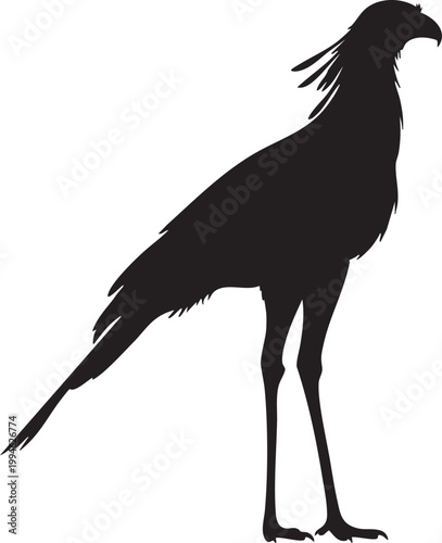 Tall black and white silhouette of a secretary bird standing on long legs bird silhouette
