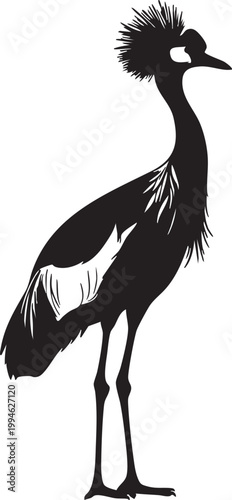 Tall black crested bird silhouette standing on one leg with wings spread