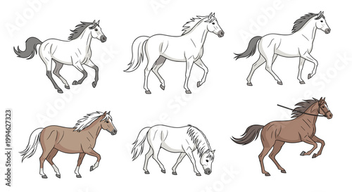 Horses in different colors running.