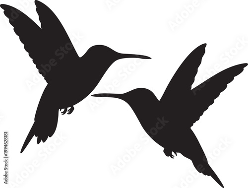 Two black hummingbirds in mid flight against white background silhouettes wings