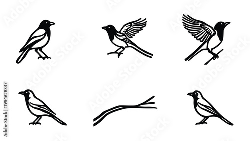 Artistic Sketch of Birds in Flight: A collection of meticulously crafted, artistic sketches showcasing the grace and agility of birds in mid-flight and at rest.