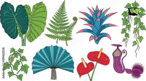 Exotic and Carnivorous Plant Vector Icon Set with Taro, Fern, Agave, Ivy, Fan Palm, Anthurium, Pitcher Plant, and Venus Flytrap for Botanical and Nature Design