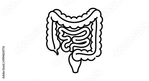 Human Intestine Anatomy Outline Icon - Digestive System Organ Illustration