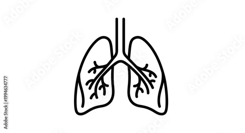 Human Lungs Icon - Respiratory System, Anatomy, Medical Symbol