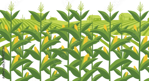 Cornfield Harvest Illustration: Ripe Corn Stalks in a Rural Landscape with Farm Buildings