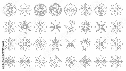 A collection of various hand drawn floral outlines are displayed in black and white showcasing a diverse range of flower shapes and styles high quality professional