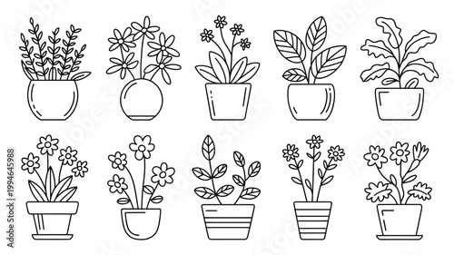 A collection of potted plants and flowers are displayed in a simple black and white line drawing style showcasing various botanical forms high quality professional detailed