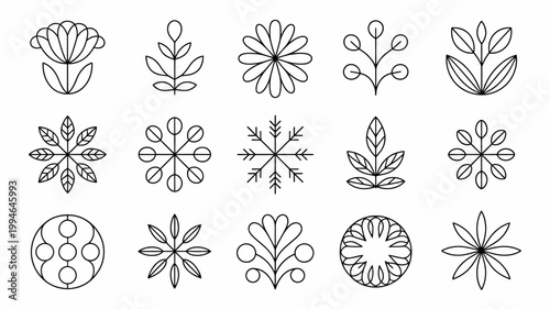 A collection of delicate black linear botanical illustrations featuring various floral and foliage designs on a plain white background high quality professional detailed modern elegant stylish