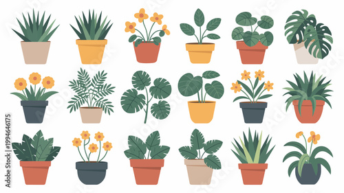 A colorful collection of potted houseplants are displayed against a white background showcasing various leaf shapes and flower types high quality professional detailed modern elegant stylish