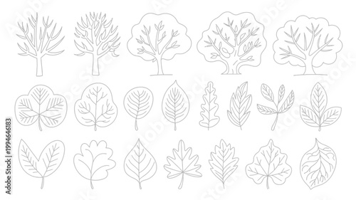 A collection of hand drawn trees and leaves are displayed in black and white showcasing various shapes and sizes for botanical illustration high quality professional detailed