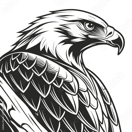 A black and white vector illustration of an eagle's head and shoulders in a bold, graphic style