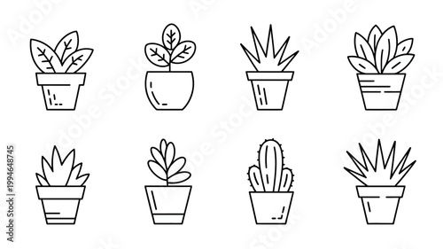 A collection of eight potted plants are displayed in a simple linear style against a stark white background showcasing diverse foliage high quality professional detailed modern