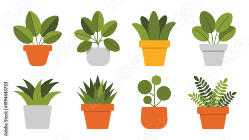A collection of eight potted houseplants is displayed against a white background showcasing various leaf shapes and pot colors high quality professional detailed modern elegant stylish