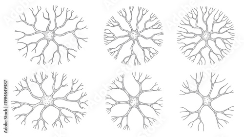 A detailed illustration showcases six star shaped neural networks resembling branching neurons against a stark white background high quality professional modern elegant stylish clean crisp vibrant